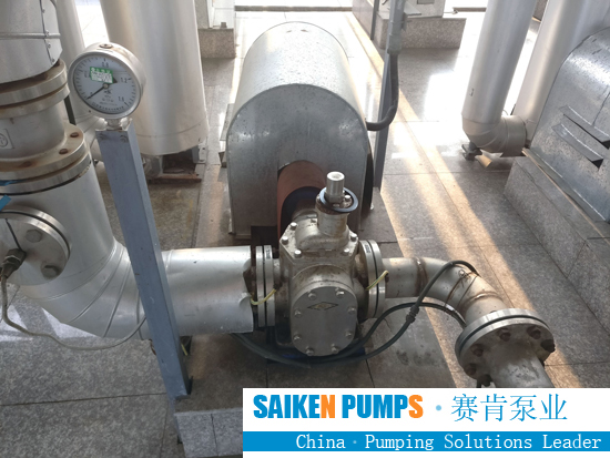  Stainless Steel Gear Pump For Chocolates