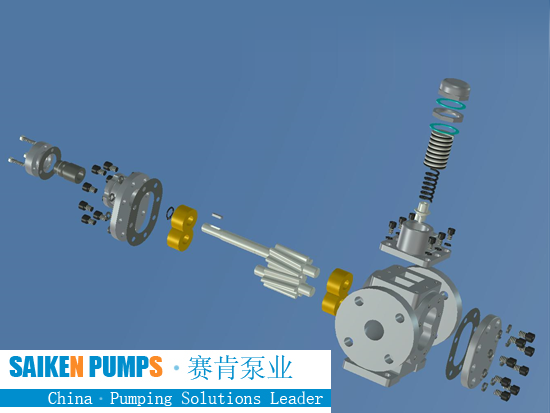 Stainless Steel Gear Pump Manufacturer, SS Gear Pump, Food Grade Pump Exporter