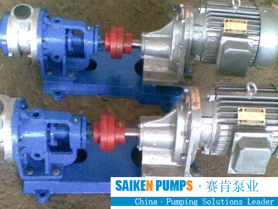 KCB SS GEAR PUMP