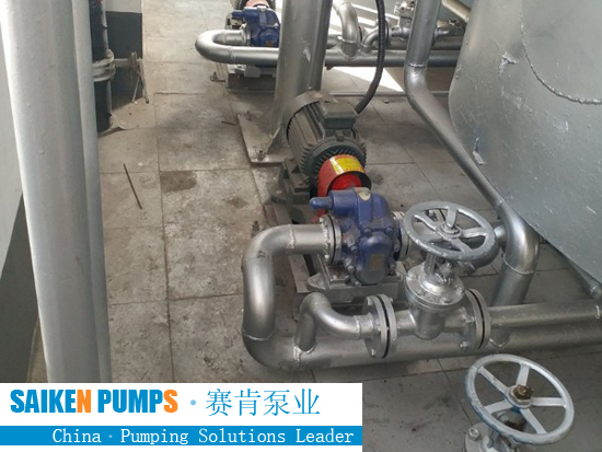 SS GEAR PUMP