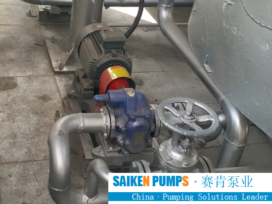 SS gear oil pump 